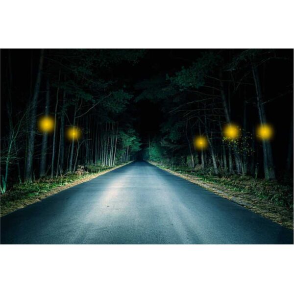 Tree Reflectors - Image 3
